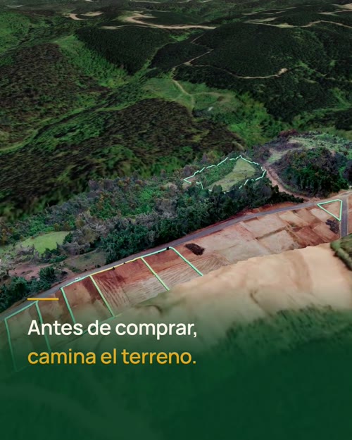 Vista aérea del loteo Chaimávida con las parcelas demarcadas sobre el levantamiento con dron